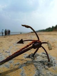 Close-up of rusty metal on beach against sky