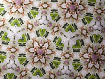 Full frame shot of flowers