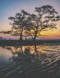 Silhouette tree by sea against sky during sunset