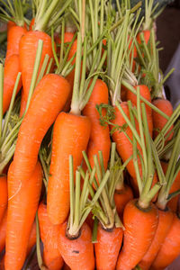 Close-up of red chili peppers