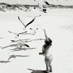 Low angle view of man feeding birds on beach