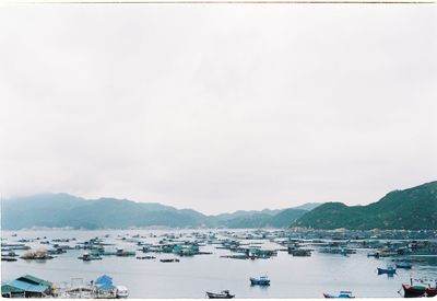 Sailboats in sea against sky