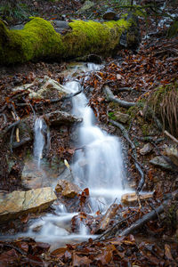 Scenic view of waterfall in forest