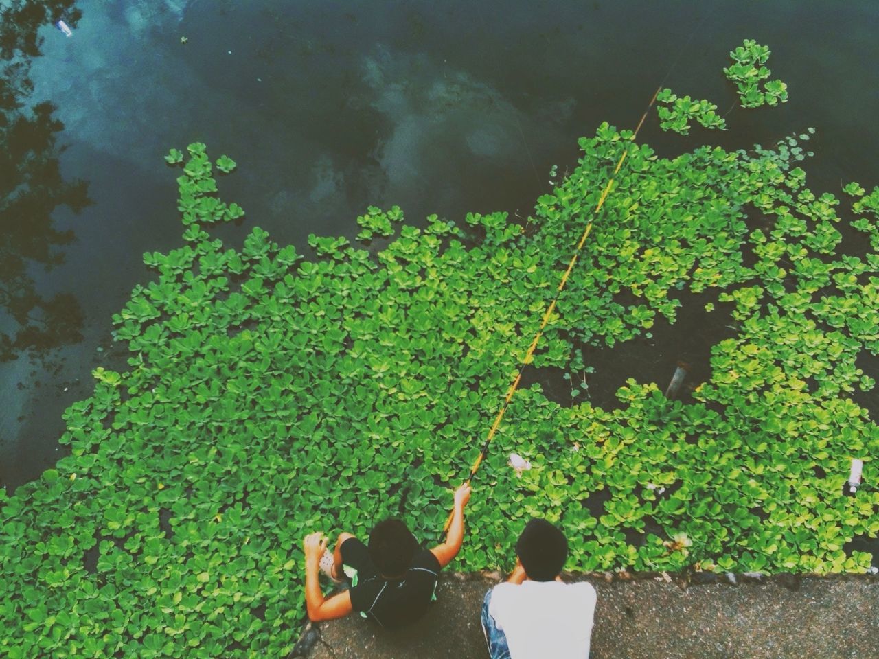 green color, lifestyles, leisure activity, men, growth, nature, person, standing, tree, high angle view, plant, water, leaf, beauty in nature, outdoors, rear view, tranquility