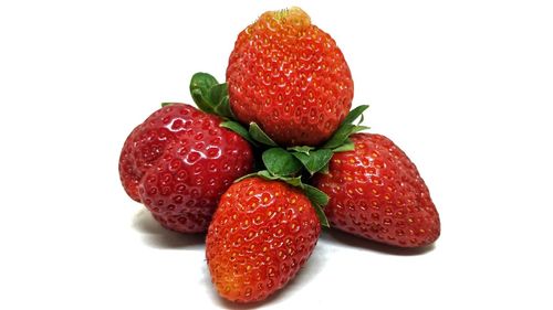 Close-up of strawberries