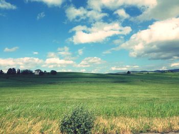 Scenic view of grassy field against sky