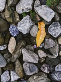 High angle view of stones on rocks