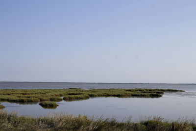 Scenic view of calm sea against clear sky