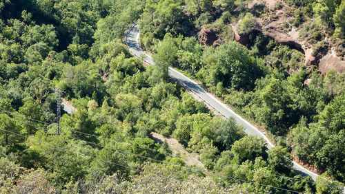 High angle view of road amidst trees in forest