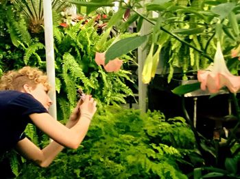 Close-up of woman holding plant