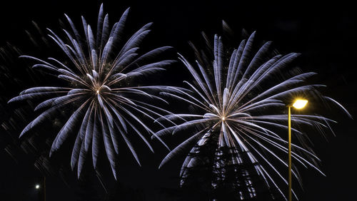 Low angle view of firework display at night