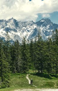 Rear view of man riding a mountain bike on wooden footpath in the alps.