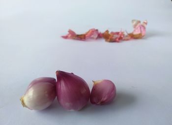 Close-up of fruits against white background