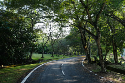 Road amidst trees in forest