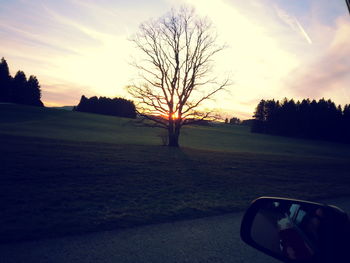 Bare trees on landscape at sunset