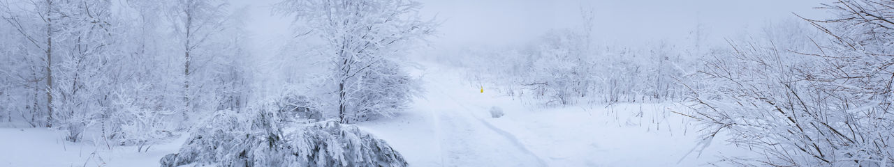 Scenic view of snow covered land and trees against sky