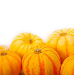 Close-up of pumpkin against white background