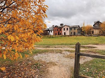 Trees growing on field by buildings against sky during autumn