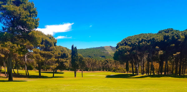 Scenic view of golf course against blue sky