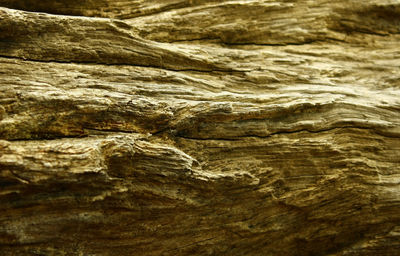 Full frame shot of rock formation