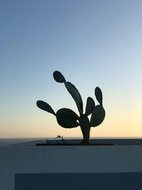 Cactus plant against sea during sunset