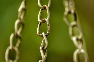 Close-up of barbed wire