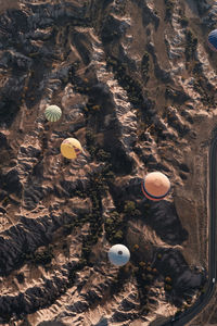 High angle view of birds on rock