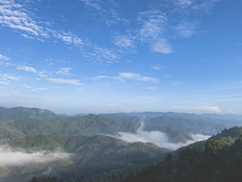 environment