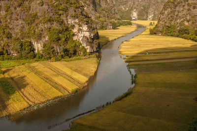 Scenic view of landscape