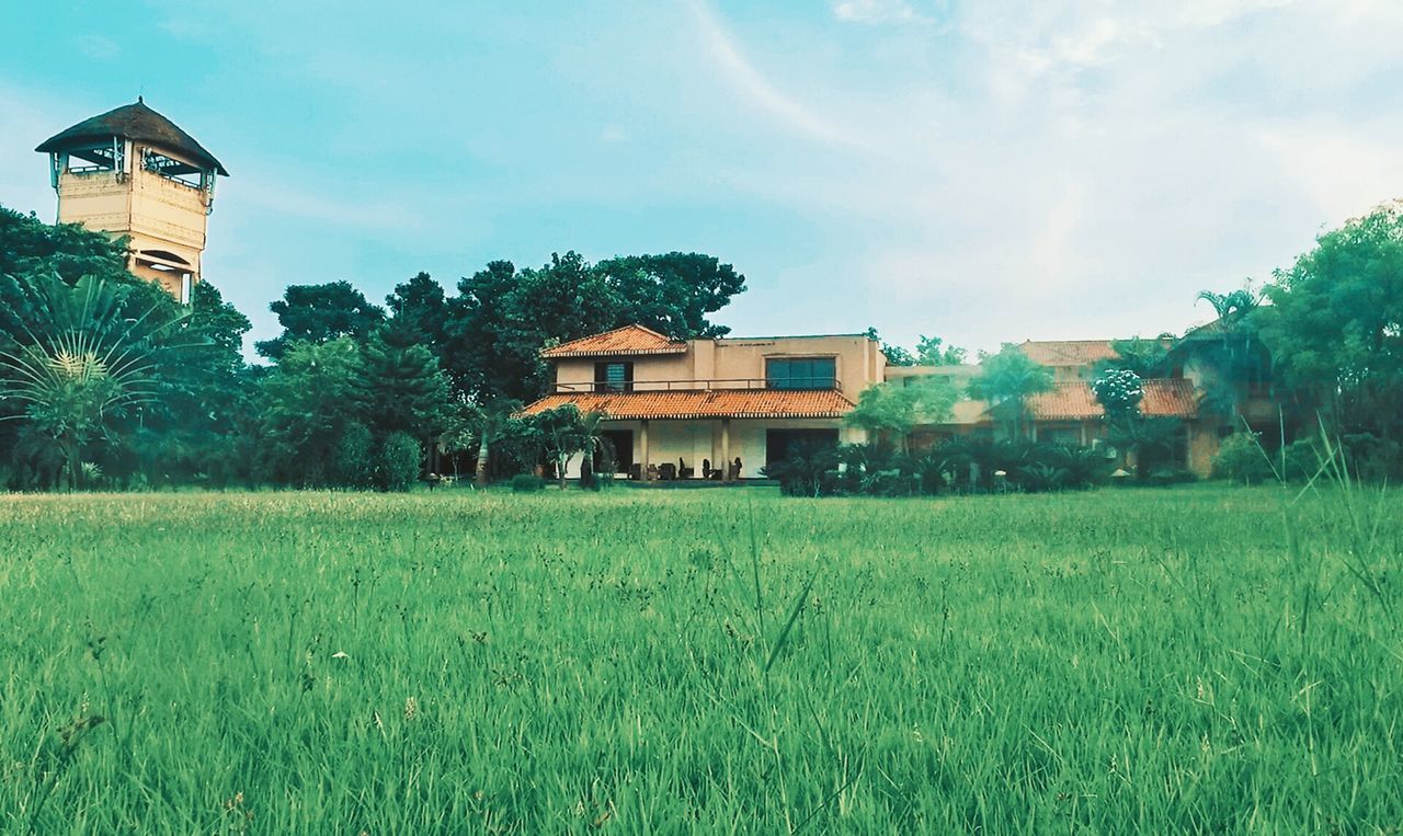 BARN ON GRASSY FIELD AGAINST SKY