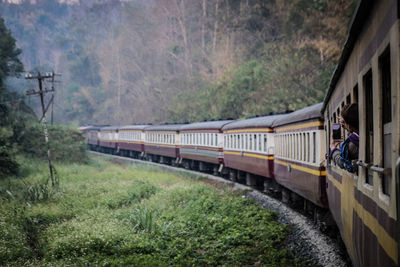 Train in forest