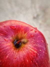 Close-up of red apples in water