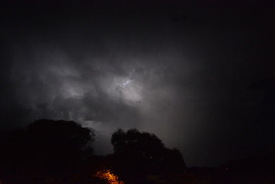 Low angle view of silhouette trees against sky at night