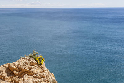 High angle view of rock in sea against sky