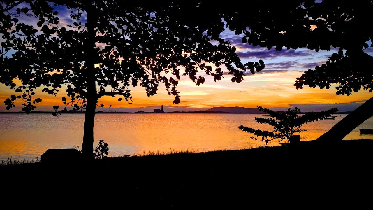 SILHOUETTE TREES BY LAKE AGAINST SKY DURING SUNSET