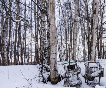 Bare trees on snow covered landscape