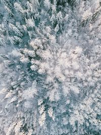 Full frame shot of sea