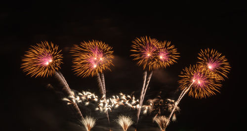 Firework display at night