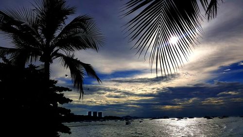 Silhouette palm tree by sea against sky at sunset