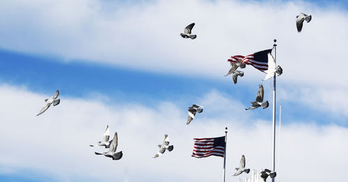 Low angle view of kite flying in sky