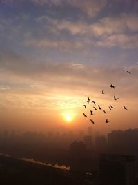 Flock of birds flying over cityscape against sky during sunrise