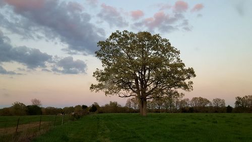 Scenic view of grassy field against cloudy sky