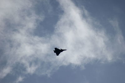 Low angle view of eagle flying against sky