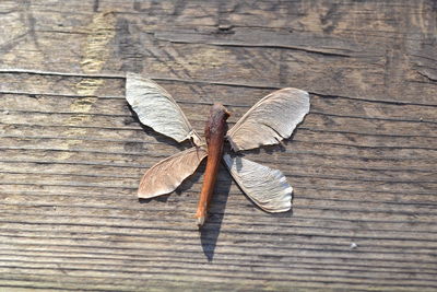 Directly above shot of dry petals and twigs arranged in butterfly shaped on table