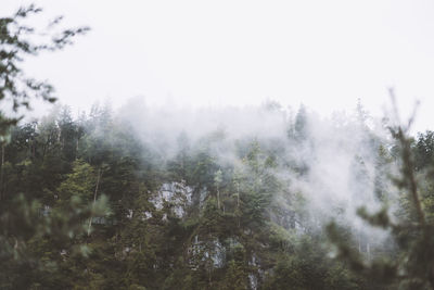 Trees on landscape against sky