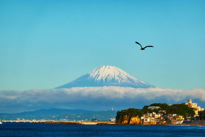 Scenic view of sea and snowcapped mountain against clear sky with flying bird