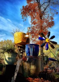 Flower tree against sky