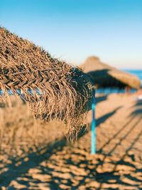 Close-up of dry plant on beach against clear blue sky