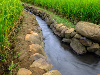 Stream flowing through rocks