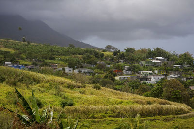 Scenic view of field by buildings against sky